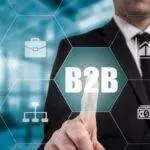 Strategies for B2B Niche Marketing